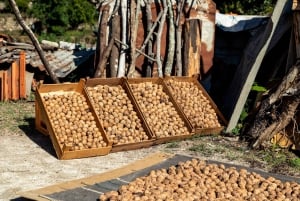 Algarve: całodniowa wycieczka łodzią i jeepem