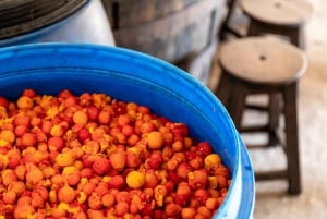 Algarve: całodniowa wycieczka łodzią i jeepem