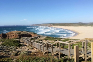 Algarve: tour costiero di un'intera giornata in SUV