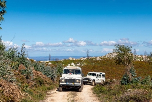Algarve: Full-Day Guided Sightseeing Tour with Lunch