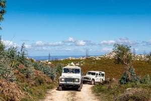 Algarve: Ganztägige geführte Sightseeing-Tour mit Mittagessen