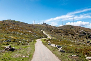 Algarve: Heldags sightseeingtur med lunsj