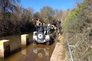 Algarve Full-Day Jeep Safari Tour with Lunch