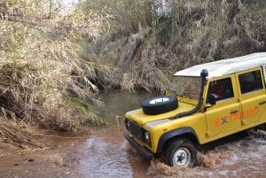 Algarve: safari de 1 día completo en todoterreno