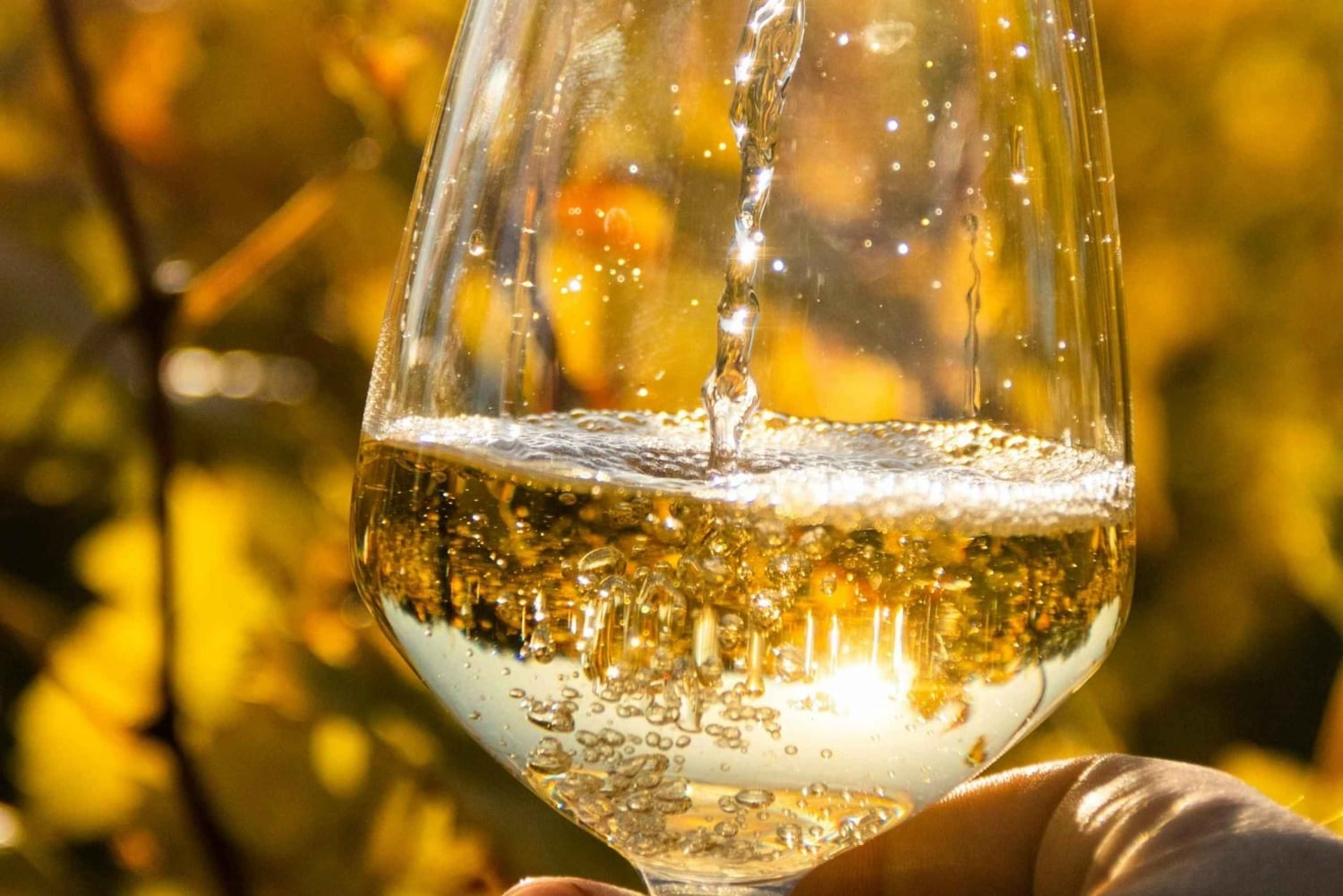 Algarven kultainen rannikko ja boutique-viinitila