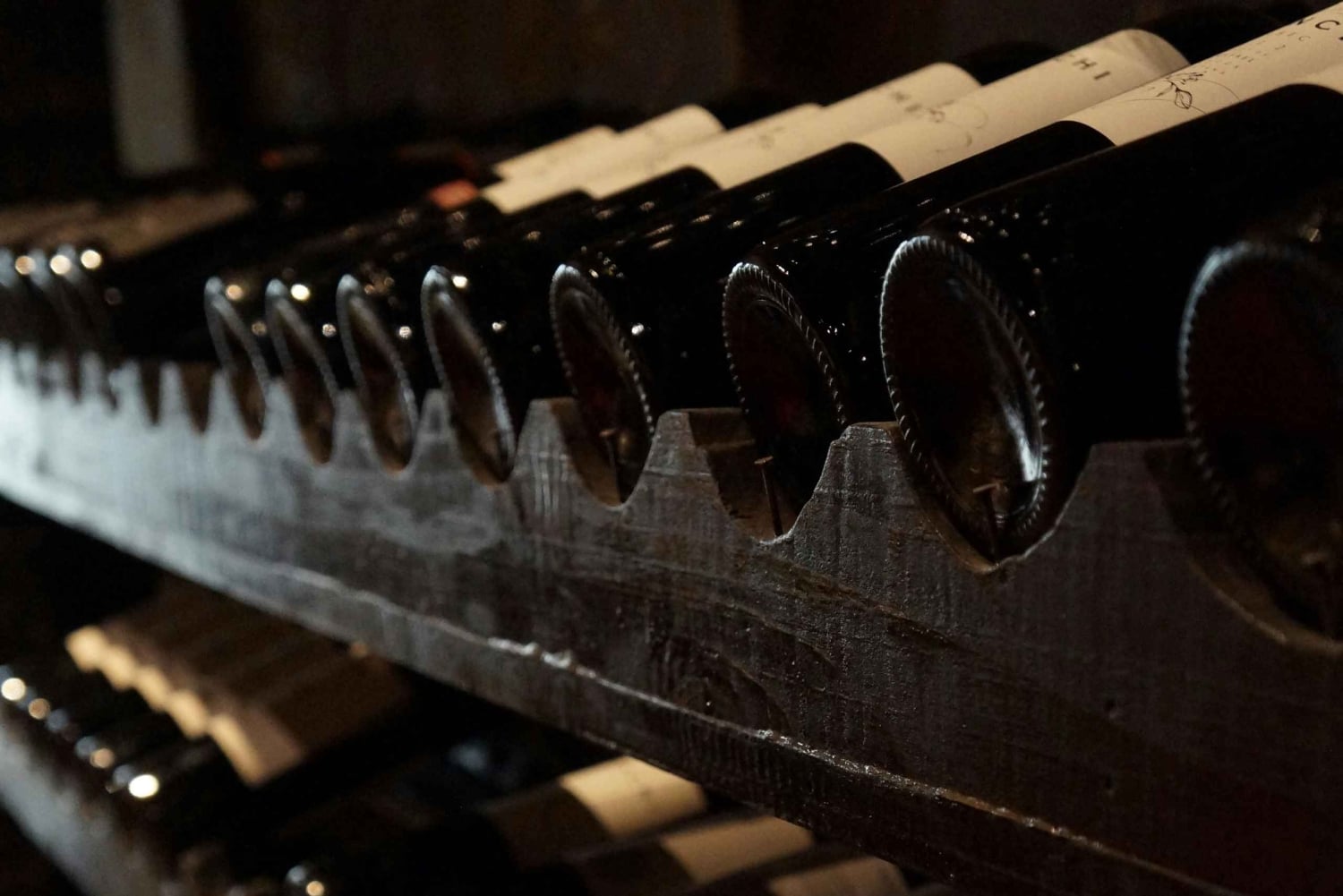 Algarven kultainen rannikko ja boutique-viinitila