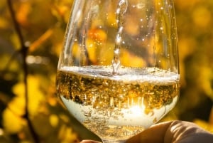 Algarven kultainen rannikko ja boutique-viinitila