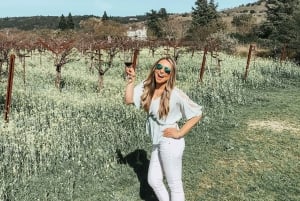 Algarven kultainen rannikko ja boutique-viinitila