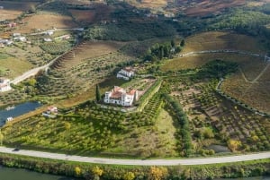 Algarven kultainen rannikko ja boutique-viinitila