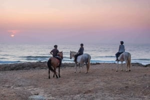 Algarve : balade à cheval sur la plage en soirée ou le matin