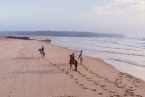 Algarve: Ridning på stranden i solnedgång eller på morgonen