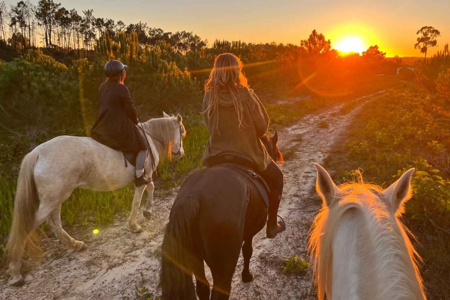 Algarve Horseriding tour in the countryside of Aljezur Rogil