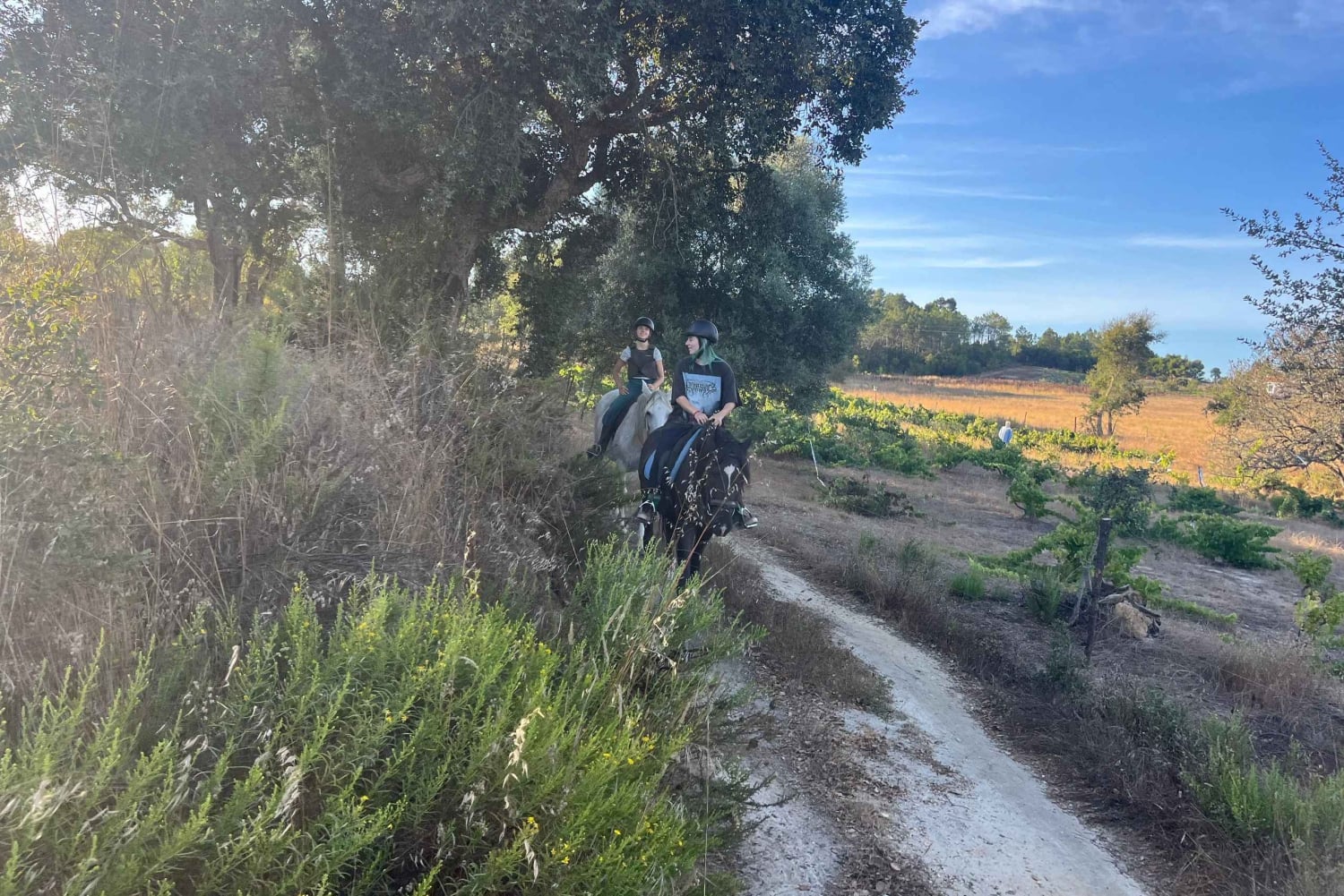 Algarve Horseriding tour in the countryside of Aljezur Rogil