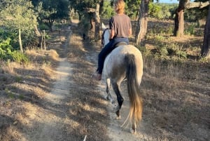 Algarve Horseriding tour in the countryside of Aljezur Rogil