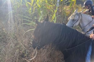 Algarve Horseriding tour in the countryside of Aljezur Rogil