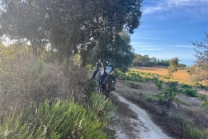 Algarve Horseriding tour in the countryside of Aljezur Rogil