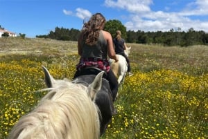 Algarve Horseriding tour in the countryside of Aljezur Rogil