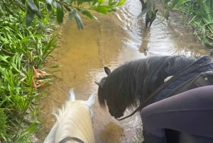 Algarve Horseriding tour in the countryside of Aljezur Rogil