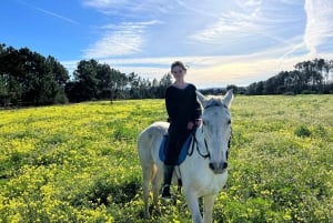 Algarve Horseriding tour in the countryside of Aljezur Rogil