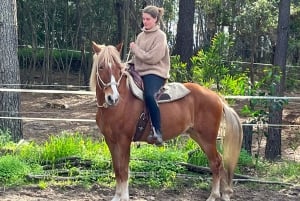 Algarve Horseriding tour in the countryside of Aljezur Rogil