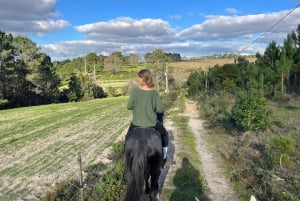 Algarve Horseriding tour in the countryside of Aljezur Rogil