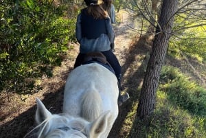 Algarve Horseriding tour in the countryside of Aljezur Rogil