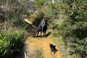 Algarve Horseriding tour in the countryside of Aljezur Rogil