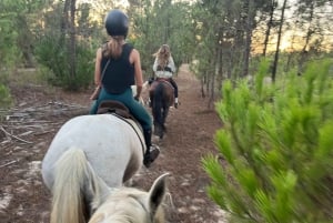 Algarve Horseriding tour in the countryside of Aljezur Rogil