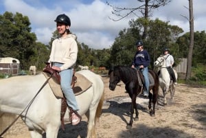 Algarven ratsastusretki Aljezur Rogilin maaseudulla Aljezur Rogilissa