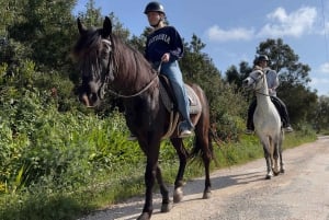 Algarven ratsastusretki Aljezur Rogilin maaseudulla Aljezur Rogilissa
