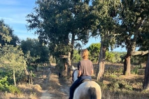 Algarve Horseriding tour in the countryside of Aljezur Rogil
