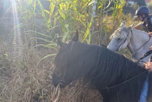 Algarve Horseriding tour in the countryside of Aljezur Rogil