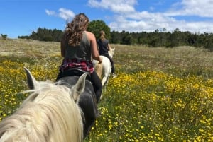 Algarve Horseriding tour in the countryside of Aljezur Rogil