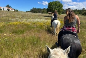 Algarve Horseriding tour in the countryside of Aljezur Rogil
