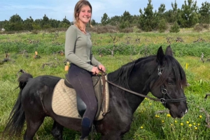 Algarve Horseriding tour in the countryside of Aljezur Rogil