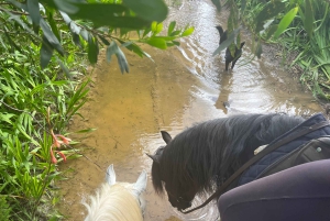 Algarve Horseriding tour in the countryside of Aljezur Rogil