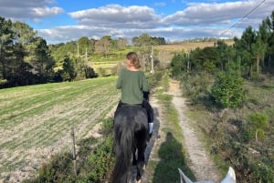 Algarve Horseriding tour in the countryside of Aljezur Rogil