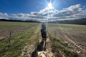 Algarve Horseriding tour in the countryside of Aljezur Rogil
