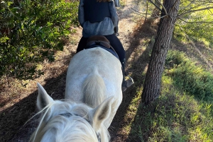 Algarve Horseriding tour in the countryside of Aljezur Rogil