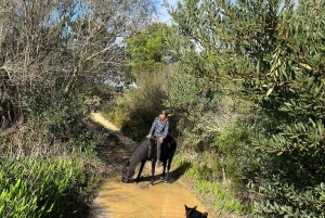 Algarve Horseriding tour in the countryside of Aljezur Rogil