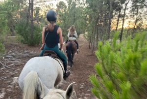 Algarve Horseriding tour in the countryside of Aljezur Rogil
