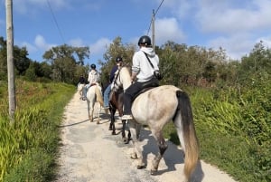 Algarve Horseriding tour in the countryside of Aljezur Rogil