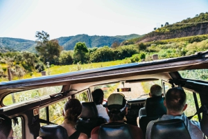 Algarve: Jeepsafari met distilleerderijbezoek & lunch