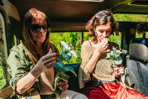 Algarve: Jeepsafari met distilleerderijbezoek & lunch