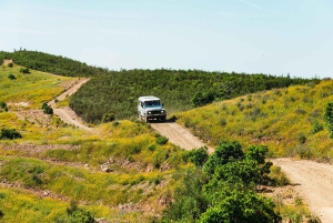 Algarve: Jeepsafari met distilleerderijbezoek & lunch