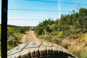 Algarve: Jeepsafari met distilleerderijbezoek & lunch