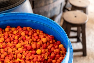 Algarve: Jeepsafari met distilleerderijbezoek & lunch