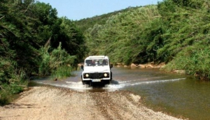 Fun Activities in Algarve
