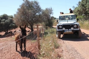 Albufeira: Jeep Safari Half-Day Countryside Tour