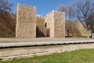 Algarve: Lagos, Ponta da Piedade en Sagres Privé Tour